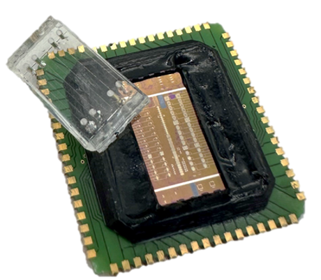 High-Performance CNT-Based FETs on 200 mm Si Wafers With Low Drift and aM-Level Biosensing Sensitivity